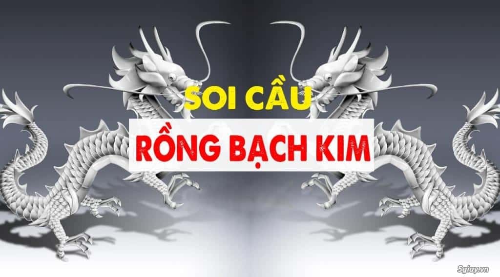 Giới thiệu về Soi cầu Rồng Bạch Kim