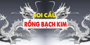 Dự Đoán Lô Đề Chính Xác Với Soi Cầu Rồng Bạch Kim